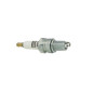 313253224 BOUGIE CHAMPION MASERATI  BITURBO 2.24V