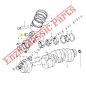 4146365 bague de bielle Ferrari 206/246 GT Dino