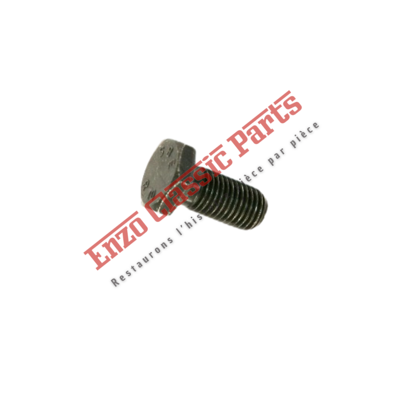 15973930 Vis de volant moteur  Maserati 3200/Quattroporte IV