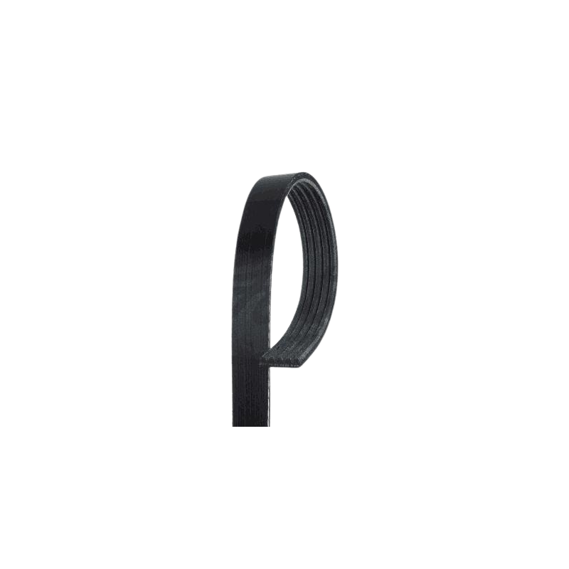 201446 Courroie d'alternateur Ferrari 360 Modena OEM