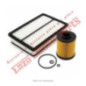 Light service kit (coupon light) Ferrari F355