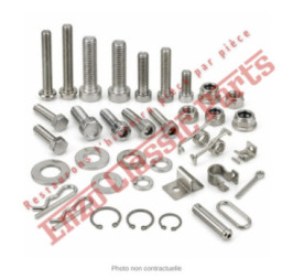 Agrafe Ferrari FF - photo non contractuelle