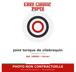 Ferrari - Crankshaft O Ring - Ref. 100055