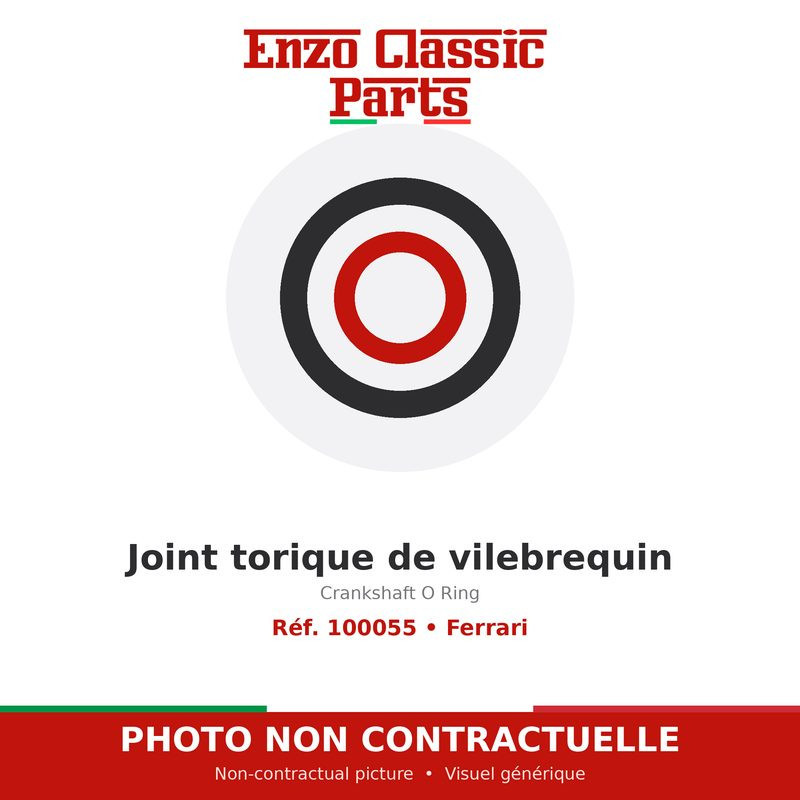 Ferrari - Crankshaft O Ring - Ref. 100055