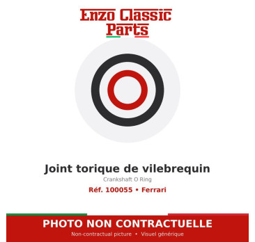 Ferrari - Joint torique de vilebrequin - Réf. 100055