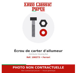 Ferrari - Distributor Housing Nut - Ref. 100273