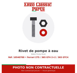 Ferrari 275 / 365 GT4 2+2 / 365 GTC4 - Rivet de pompe à eau - Réf. 10540700