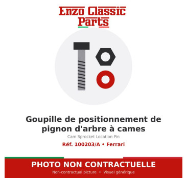 Ferrari - Cam Sprocket Location Pin - Ref. 100203/A