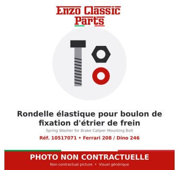 Ferrari 208 / Dino 246 - Rondelle élastique pour boulon de fixation d'étrier de frein - Réf. 10517071