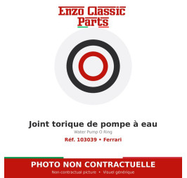 Ferrari - Water Pump O Ring - Ref. 103039