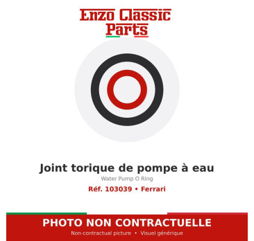 Ferrari - Water Pump O Ring - Ref. 103039