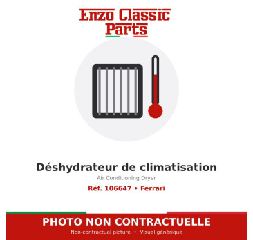 Ferrari - Déshydrateur de climatisation - Réf. 106647