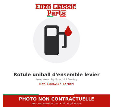 Ferrari - Rotule uniball d'ensemble levier - Réf. 100423