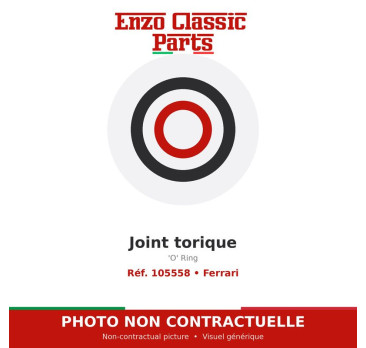 Ferrari - 'O' Ring - Ref. 105558