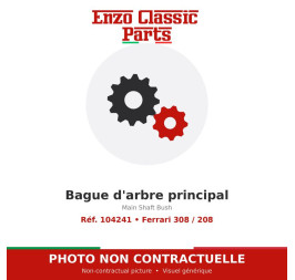 Ferrari 308 / 208 - Bague d'arbre principal - Réf. 104241