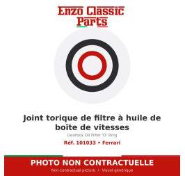 Ferrari - Gearbox Oil Filter 'O' Ring - Ref. 101033
