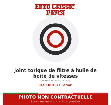 Ferrari - Gearbox Oil Filter 'O' Ring - Ref. 101033