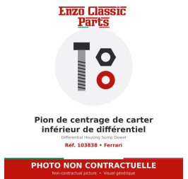 Ferrari - Differential Housing Sump Dowel - Ref. 103838