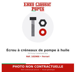 Ferrari - Écrou à créneaux de pompe à huile - Réf. 102900