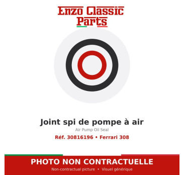 Ferrari 308 - Air Pump Oil Seal - Ref. 107786