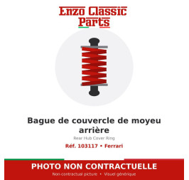 Ferrari - Rear Hub Cover Ring - Ref. 103117