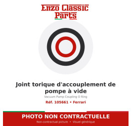 Ferrari - Joint torique d'accouplement de pompe à vide - Réf. 105661