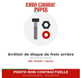 Ferrari - Arrêtoir de disque de frein arrière - Réf. 101267