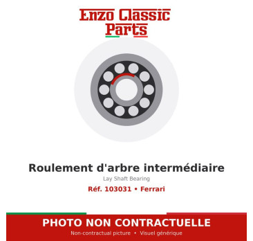 Ferrari - Lay Shaft Bearing - Ref. 103031