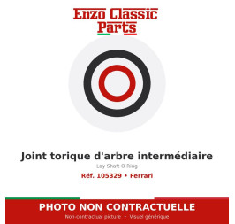 Ferrari - Lay Shaft O Ring - Ref. 105329