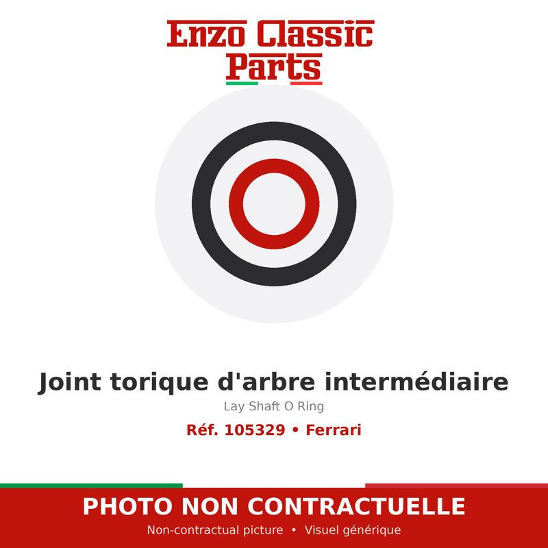 Ferrari - Lay Shaft O Ring - Ref. 105329