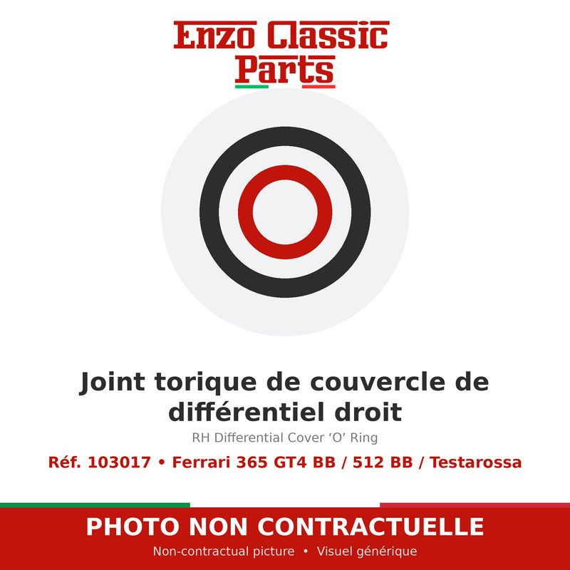 Ferrari 365 GT4 BB / 512 BB / Testarossa - RH Differential Cover ‘O’ Ring - Ref. 103017