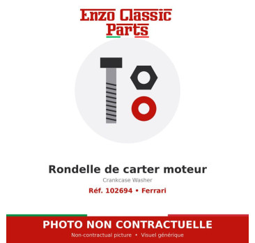 Ferrari - Crankcase Washer - Ref. 102694