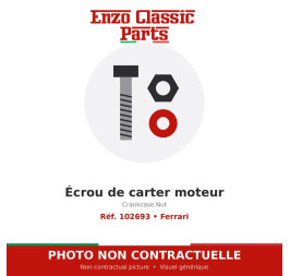 Ferrari - Crankcase Nut - Ref. 102693