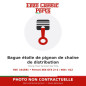 Ferrari 365 GT4 2+2 / 400 / 412 - Bague étoile de pignon de chaîne de distribution - Réf. 101591