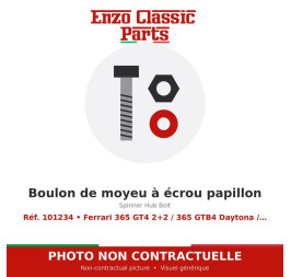 Ferrari 365 GT4 2+2 / 365 GTB4 Daytona / 365 GTC4 - Boulon de moyeu à écrou papillon - Réf. 101234