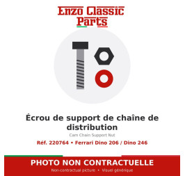 Ferrari Dino 206 / Dino 246 - Cam Chain Support Nut - Ref. 220764