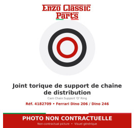 Ferrari Dino 206 / Dino 246 - Joint torique de support de chaîne de distribution - Réf. 4182709