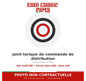 Ferrari Dino 206 / Dino 246 - Timing Control 'O' Ring - Ref. 4195786