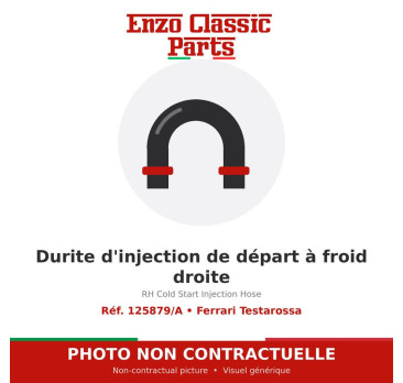 Ferrari Testarossa - RH Cold Start Injection Hose - Ref. 125879/A