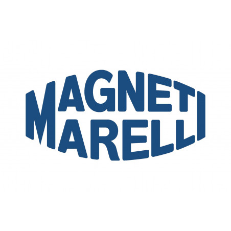 50100581 bobine allumage Magneti marelli  Ferrari 206 gt Dino