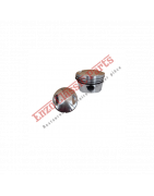 Pistons et Bielle